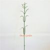 50CM carnation stem