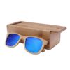 blue lens with case