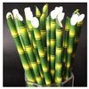 Point Bamboo