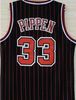 #33 Pippen as picture