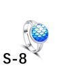 S-8