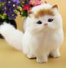 YELLOW CAT