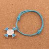 BC1756 skyblue