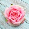 Spring pink