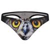 owl eyes