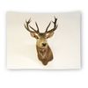 Animal World-10