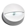 White light
