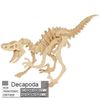 Decapoda