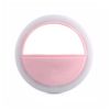 China Pink
