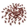 Red ant