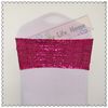 Fushsia color