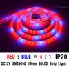 IP20 5M SMD5050 4red/1bule