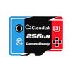 256GB U3