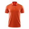 R243 orange