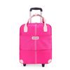 pink luggage 18