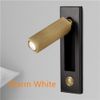Black With Brass Body Warm White-1