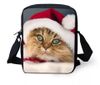 The bag of the cat's head