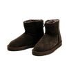 1 Ankle Brown