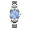 Light Blue Dial