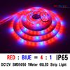 IP65 5M SMD5050 4red/1bule