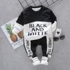 XY zimu White