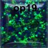 Color:OP19 DARK GREEN