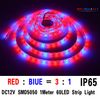 IP65 5M SMD5050 3red/1bule