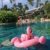 Pink flamingo seat ring