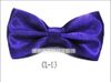 CL-13 dark purple