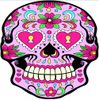 Pink skull