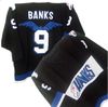 Mighty Ducks: Banks 99 Hockey Jersey (2 Colors) – Stush Fashionista