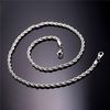 Silver Color-20inch*2mm