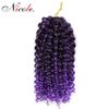 1B-purple