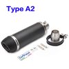 Type A2