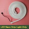 LED Neon Light Only