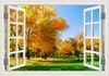 3 16x24inch 40x60cm