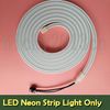 LED Neon Light Only