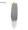 color #1b grey