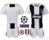 home+Champion patch