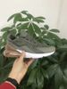 Shoes 027