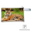 Coin Purse3