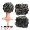 T1Dimgray
