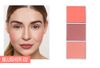 02 blush palette