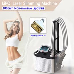 Sculpture au Laser à Diode 1060nm, réduction de la Cellulite, amincissement, élimination des graisses, perte de poids, équipement de beauté