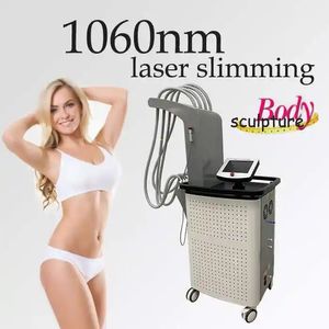 Laser a diodi 1060nm Scultura corpo Laser Riduzione del grasso non invasiva Addome Rimozione cellulite Trattamento di perdita di peso Macchina laser a diodi 1060nm