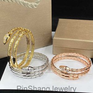10a Bangle sieraden ontwerper Multi-lus armband Sterling Silver Vrouw Ronde Hard Bracelet Classic Snake Chain Women Lady Perfect Gift With Box