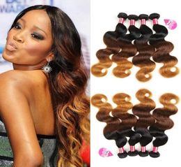 10A Brésilien Ombre Body Wave Virgin Hair 4 paquets 100 cheveux humains Blonde ombre Vierge Hair Extensions T1B427 Color55409715773390