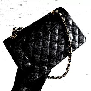 10A Designers schoudertas handtas cross body koeienhuid handtas vrouwen bodys portemonnees officieel origineel geïmporteerd echt leer uit Franch th1