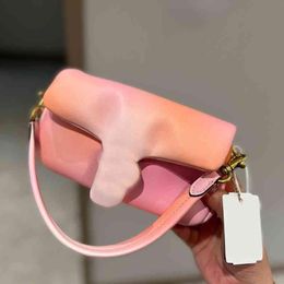 10A Fashion Clouw Oreiller Classic Designer épaule Femmes Underarm S Co Lady Leather Brand Bag Soft Purses Runix