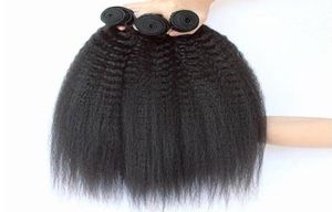 10A Grade Human Hair Bundels Peruaanse kinky rechte maagdelijk haar Weave 4 Bundels 400G Lot Natural Color onbewerkte haaruitbreiding1266382